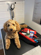 Last inn bildet i Galleri-visningsprogrammet, Til hunden. Toalettveske med brodert brodert pote og hundens navn. med innvendige lommer og lomme med glidelås