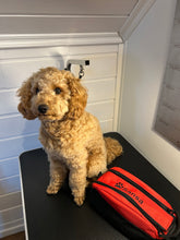 Last inn bildet i Galleri-visningsprogrammet, Til hunden. Toalettveske med brodert brodert pote og hundens navn. med innvendige lommer og lomme med glidelås