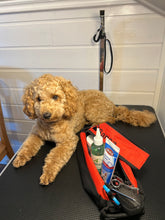 Last inn bildet i Galleri-visningsprogrammet, Til hunden. Toalettveske med brodert brodert pote og hundens navn. med innvendige lommer og lomme med glidelås