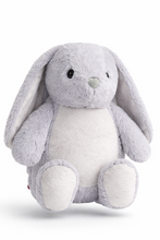 Last inn bildet i Galleri-visningsprogrammet, Kanin bamse med brodert navn - Ekstra myk
